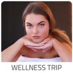 Trip Teneriffa zeigt Reiseideen für den nächsten Wellness Trip. Lust auf Urlaubsangebote, Preisknaller & Geheimtipps? Hier ▷